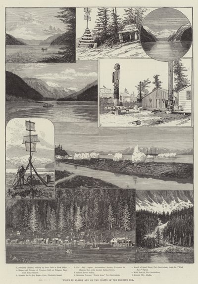 Views in Alaska and on the Coasts of the Behring Sea by Melton Prior